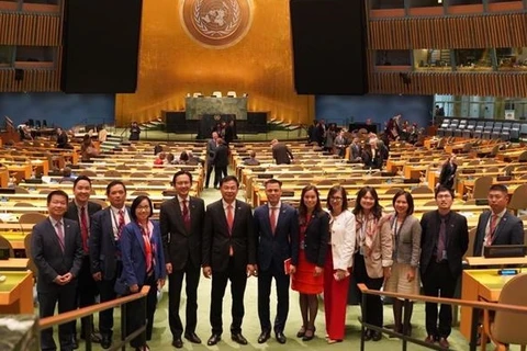 Вьетнамская делегация на заседании ООН. (Фото: ВИА)