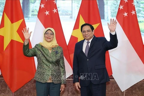 Премьер-министр Фам Минь Тьинь провел встречу с президентом Сингапура Халимой Якоб. (Фото: Зыонг Жанг/ВИА)