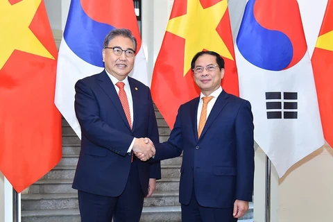 Министр иностранных дел Буй Тхань Шон провел переговоры с министром иностранных дел Кореи. (Фото: ВИА)