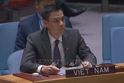 Посол Данг Хоанг Жанг, глава постоянного представительства Вьетнама при ООН. (Фото: ВИА) 