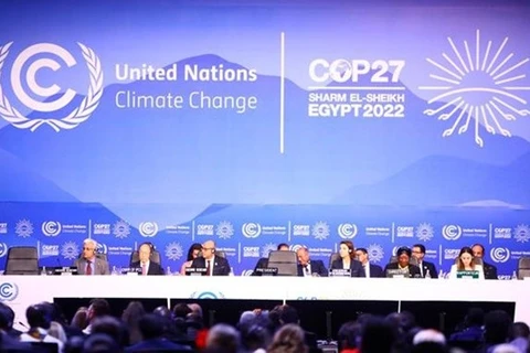 Обзор церемонии открытия COP27 (Фото: ВИА) 