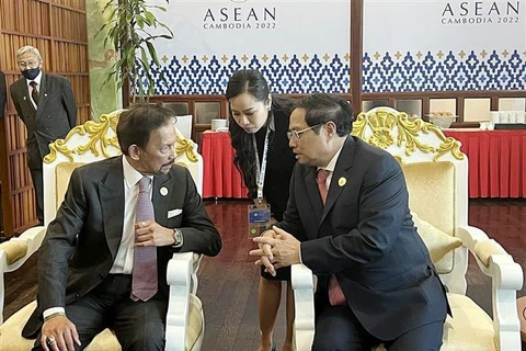 Премьер-министр Фам Минь Тьинь провел встречу с султаном Брунея-Даруссалама Хаджи Хассаналом Болкиахом. (Фото: ВИА)
