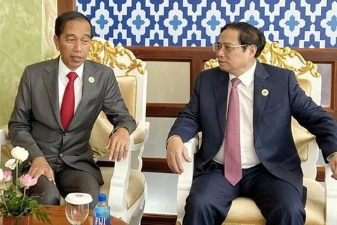 Премьер-министр Фам Минь Тьинь (справа) и президент Индонезии Джоко Видодо встречаются в Пномпене 11 ноября. (Фото: ВИА) 