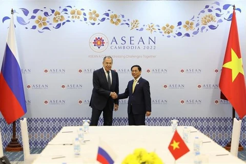 Министр иностранных дел Буй Тхань Шон и министр иностранных дел России Сергей Лавров. (Фото: опубликовано ВИА)
