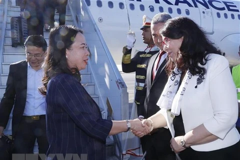 Министр культуры Туниса Хайет Кетат приветствует вице-президента Во Тхи Ань Суана в международном аэропорту Джербы. (Фото: ВИА)