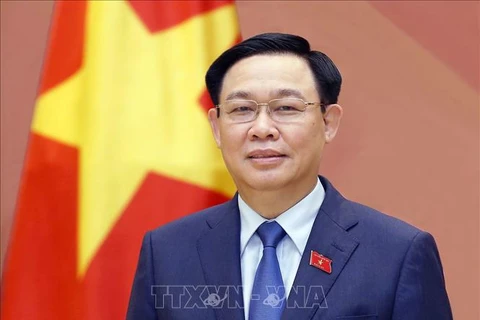Председатель Национального собрания Вьетнама Выонг Динь Хюэ. (Фото: Зоан Тан/ВИА)
