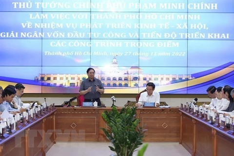 Премьер-министр Фам Минь Тьинь выступает на встрече (Фото: ВИА) 