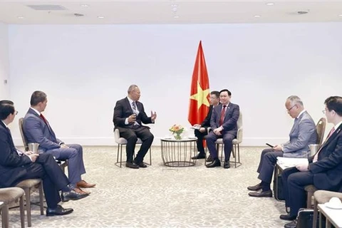 Председатель НС Выонг Динь Хюэ на встрече с руководителями Fiso Investment Group и Viet River Holdings Limited (Фото: ВИА)