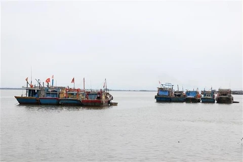 Рыболовный флот провинции Куангчи пришвартовался на якорной стоянке Баккыавиет. (Фото: ВИА)