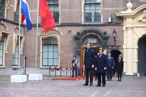 Премьер-министр Фам Минь Тьинь и премьер-министр Нидерландов Марк Рютте слушают национальные гимны двух стран. (Фото: Зыонг Жанг/ВИА)