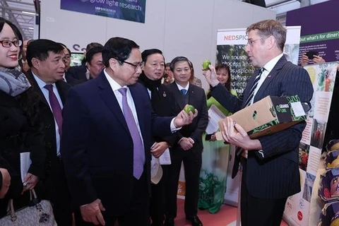 Премьер-министр Фам Минь Тьинь посещает Всемирный центр высоких технологий в сельском хозяйстве World Horti Center. (Фото: ВИА)