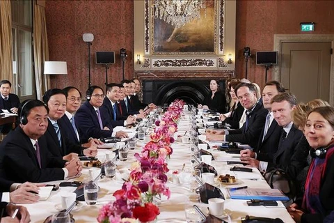 Премьер-министр Фам Минь Тьинь и премьер-министр Нидерландов Марк Рютте проводят переговоры. (Фото: Зыонг Жанг/ВИА)