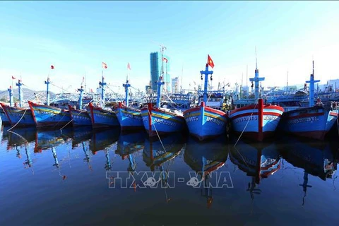 Рыболовный флот Биньдиня бросил якорь в порту Куиньон. (Фото: ВИА)