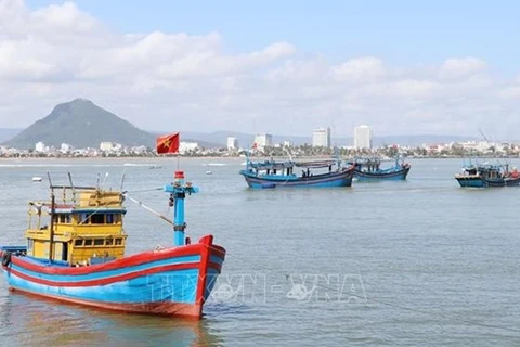 Рыболовецкие суда Вьетнама (Фото: ВИА) 