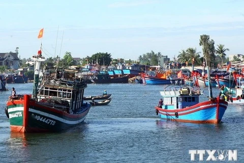 Лодки рыбаков Куангнгай стоят на якоре в рыбном порту Шаки. (Фото: ВИА)