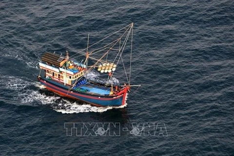 Вьетнамское рыболовное судно (Фото: ВИА) 