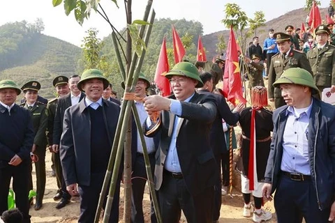 Председатель Национального собрания Выонг Динь Хюэ принял участие в посадке деревьев в общине Чаншон уезда Йеншон провинции Туйенкуанг. (Фото: ВИА)