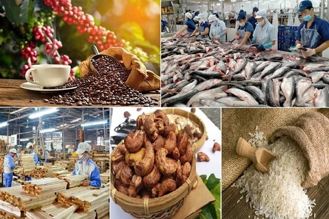 Экспорт сельскохозяйственной, лесной и рыбной продукции в январе достиг 3,7 млрд. долл. США (Фото: ВИА) 