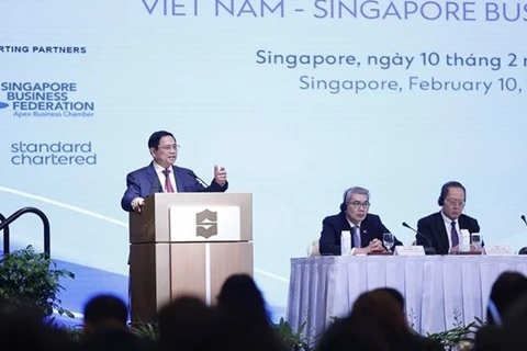 Премьер-министр Фам Минь Тинь выступает на бизнес-форуме Вьетнам-Сингапур. (Фото: ВИА)