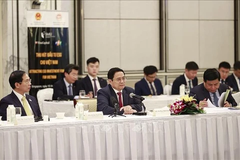 Премьер-министр Фам Минь Тьинь выступает на встрече. (Фото: ВИА) 