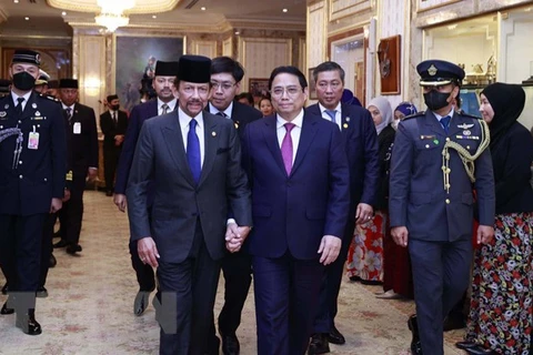 Султан Хассанал Болкиах приветствовал премьер-министра Фам Минь Тьиня на встрече. (Фото: Зыонг Жанг/ВИА)