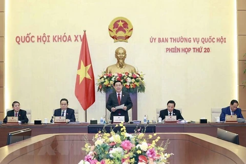 Председатель НС Выонг Динь Хюэ выступает на 20-м заседании Постоянного комитета НС 13 февраля. (Фото: ВИА) 