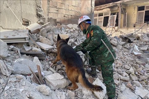 Вьетнамские спасатели используют служебных собак для поиска жертв. (Фото: Хай Линь - корреспондент ВИА из Хатая, Турция)