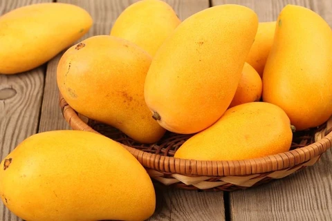 Манго — один из свежих вьетнамских фруктов, экспортируемых в Корею (Фото: Интернет)