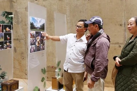 Посетители фотовыставки «Вьетнамский кофе - путешествие к созданию мирового культурного наследия». (Фото: ВИА)