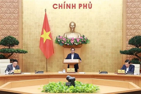 Премьер-министр Фам Минь Тьинь выступает на заседании (Фото: ВИА)