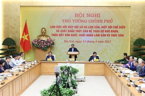 Совещание открыл премьер-министр Фам Минь Тьинь. (Фото: ВИА)