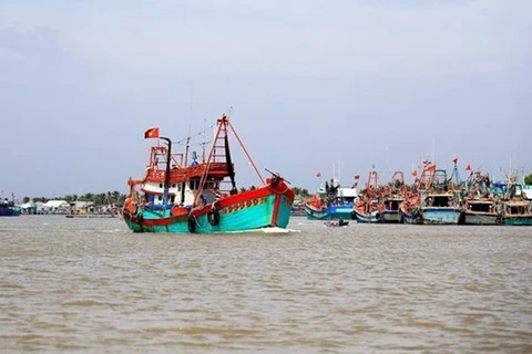 Рыбацкие лодки в водах Камау. (Фото: ВИА)