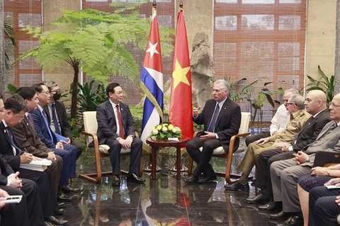 Председатель Национального собрания Выонг Динь Хюэ (слева) имел встречу с президентом Кубы Мигелем Диас-Канелем. (Фото: ВИА)