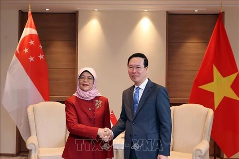 Президент Во Ван Тхыонг на встрече с президентом Сингапура Халимой Якоб. (Фото: Тхонг Нят/ВИА)
