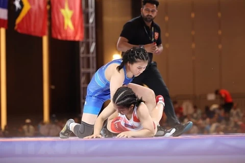 15 мая команда Вьетнама по борьбе завоевала все 6 золотых медалей. (Фото: Минь Кует/ВИА)