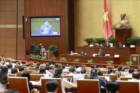 Министр планирования и инвестиций Нгуен Тьи Зунг разъяснил ряд вопросов, поднятых депутатами НС. (Фото: Зоан Тан/ВИА)