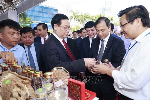 Председатель НС Выонг Динь Хюэ и делегаты посетили выставку типичных продуктов провинции Хатинь в кулуарах мероприятия (Фото: ВИA)