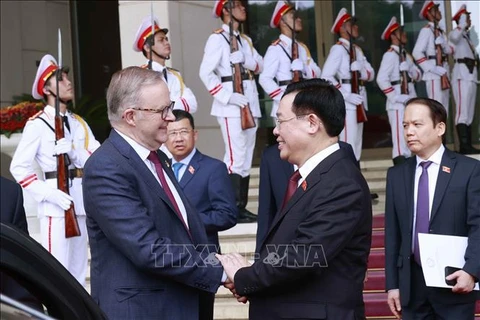 Председатель Национального собрания Выонг Динь Хюэ и премьер-министр Австралии Энтони Альбанезе. (Фото: Зоан Тан/ВИА)