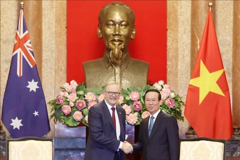 Президент Во Ван Тхыонг и премьер-министр Австралии Энтони Альбанезе. (Фото: Тхонг Нят/ВИА)