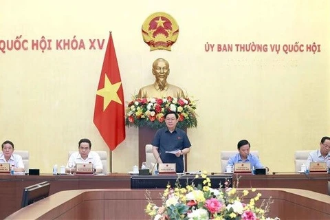 Председатель НС Выонг Динь Хюэ выступает на заседании. (Фото: ВИА)