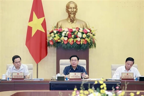 Выступил на заседании председатель НС Выонг Динь Хюэ. (Фото: ВИА)