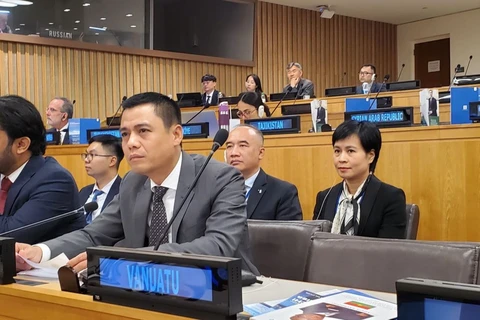 Выступает посол Данг Хоанг Жанг на совещании. (Фото: ВИА)