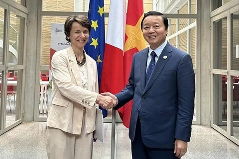 Заместитель премьер-министра Чан Хонг Ха (справа) встретился с заместителем генерального директора AFD Мари Элен Луазон в Париже 21 июня (Фото: ВИA)