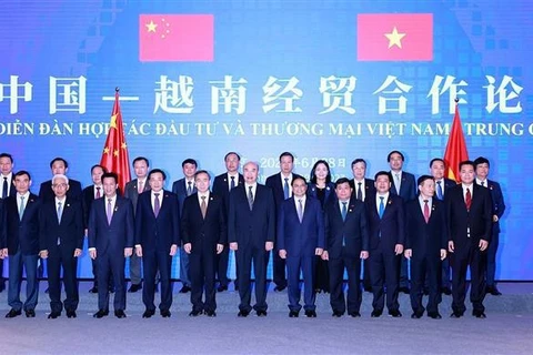 Премьер-министр Фам Минь Тьинь с делегатами в форуме. (Фото: ВИА)