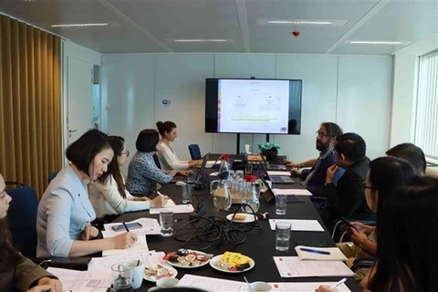 6-е заседание Бельгийско-Вьетнамского совместного комитета по научным исследованиям и развитию. (Фото: ВИA)