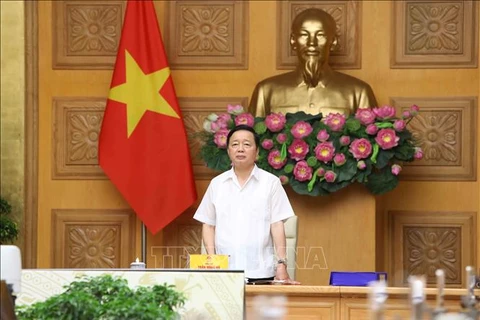Вице-премьер Чан Хонг Ха выступает на заседании. (Фото: ВИА) 
