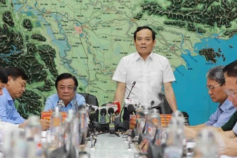 Заместитель премьер-министра Чан Лыу Куанг выступает руководящей речью. (Фото: ВИА) 