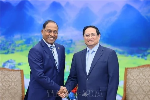 Премьер-министр Фам Минь Тьинь (справа) и министр иностранных дел Малайзии сенатор Замбри Абдул Кадир (Фото: ВИА) 