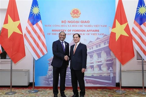 Министр иностранных дел Буй Тхань Шон приветствует министра иностранных дел Малайзии Замбри Абдула Кадира. (Фото: ВИА)