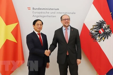 Министр иностранных дел Буй Тхань Шон (слева) и его австрийский коллега Александр Шалленберг. (Фото: ВИA)